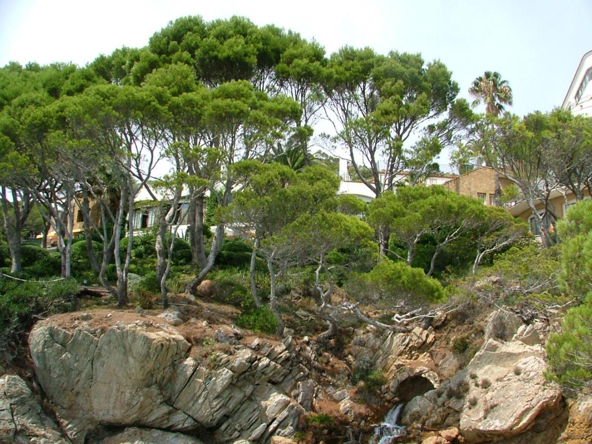 Апартаменты Cap Sa Sal Navy, Begur, Girona Экстерьер фото